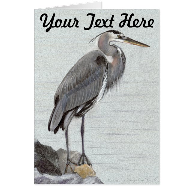 Great Blue Heron (Voorkant)