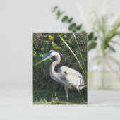 "Great Blue Heron 1." Briefkaart (Staand voorkant)