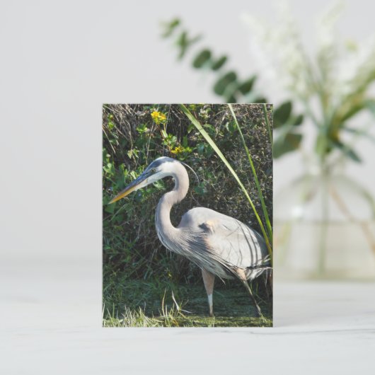 "Great Blue Heron 1." Briefkaart (Staand voorkant)