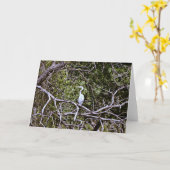 Great Blue Heron 1 Scripture Kaart Psalm 92:4 (Gele Bloem)