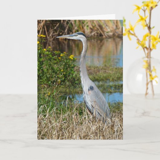 "Great Blue Heron 2." Wenskaart Kaart (Gele Bloem)