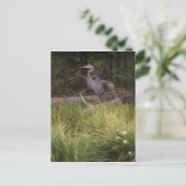 Great Blue Heron 8917 Briefkaart (Staand voorkant)