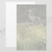 Great Blue Heron 8917 Briefpapier (Voorkant / Achterkant)