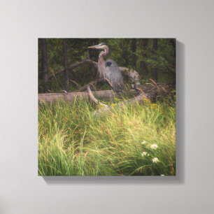 Great Blue Heron 8917 Canvas Afdruk
