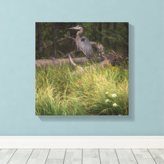 Great Blue Heron 8917 Canvas Afdruk (Insitu (Houten vloer))