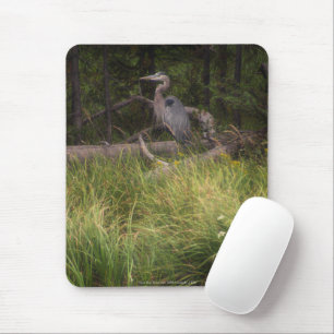 Great Blue Heron 8917 Muismat