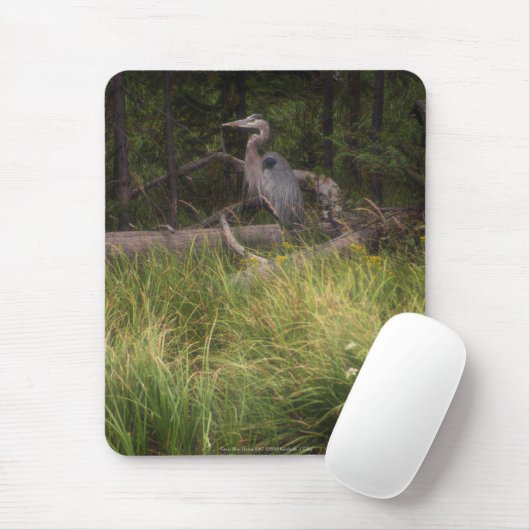 Great Blue Heron 8917 Muismat (Met muis)