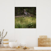 Great Blue Heron 8917 Poster (Keuken)