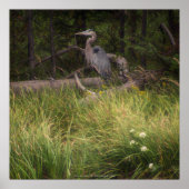 Great Blue Heron 8917 Poster (Voorkant)