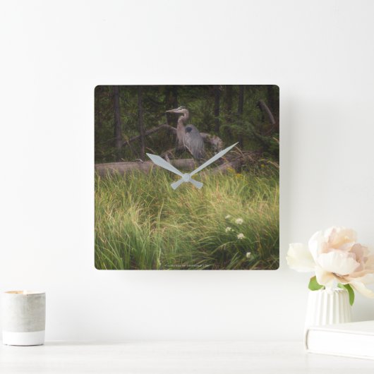 Great Blue Heron 8917 Vierkante Klok (Huis)