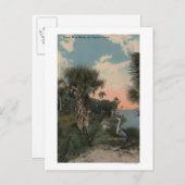 Great Blue Heron aan de kust van Florida Briefkaart (Voorkant / Achterkant)