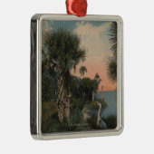 Great Blue Heron aan de kust van Florida Metalen Ornament (Rechts)