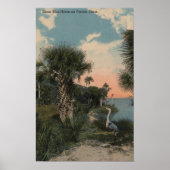 Great Blue Heron aan de kust van Florida Poster (Voorkant)