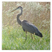 Great Blue Heron - Ardea herodias - #2 Tegeltje (Voorkant)