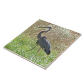 Great Blue Heron - Ardea herodias - #2 Tegeltje (Zijkant)