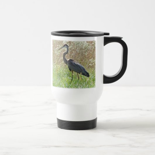 Great Blue Heron - Ardea herodias Reisbeker (Rechts)