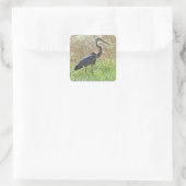 Great Blue Heron - Ardea herodias Vierkante Sticker (Tas)
