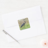 Great Blue Heron - Ardea herodias Vierkante Sticker (Envelop)