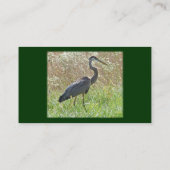 Great Blue Heron - Ardea herodias Visitekaartje (Achterkant)