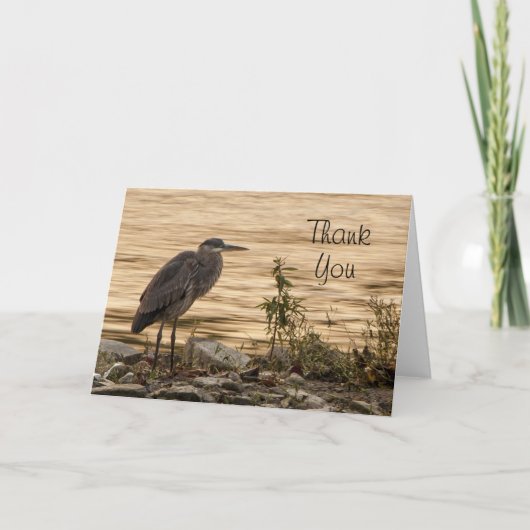 Great Blue Heron Bedankkaart (Voorkant)