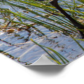 Great Blue Heron Bird Marsh Closeup Poster (Hoek)