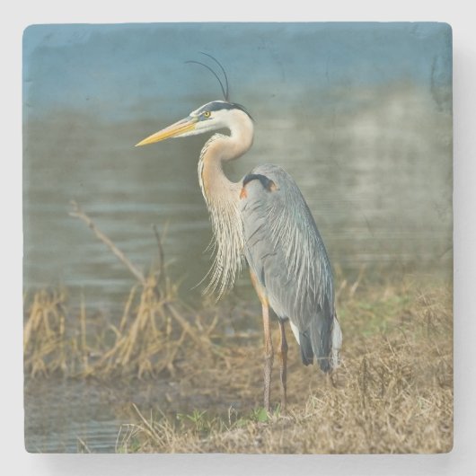 Great Blue Heron Bird Stenen Onderzetter (Voorkant)
