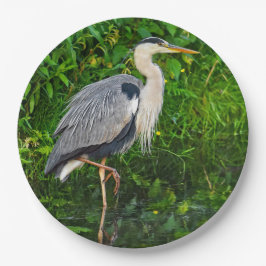 Great Blue Heron Bird Wildlife Foto Papieren Bordje