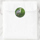 Great Blue Heron Bird Wildlife Foto Ronde Sticker (Tas)