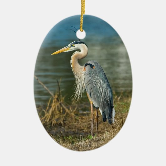 Great Blue Heron Bird Wildlife Ornament (Voorkant)