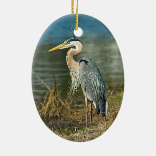 Great Blue Heron Bird Wildlife Ornament (Achterkant)