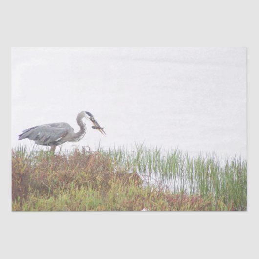 Great Blue Heron Bird Willife Fish Tissue Paper Tissuepapier (Voorkant)