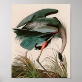 Great Blue Heron Birds of America Audubon Print (Voorkant)