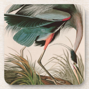 Great Blue Heron Birds of America Audubon Print Bier Onderzetter
