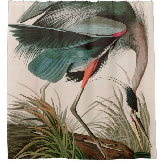 Great Blue Heron Birds of America Audubon Print Douchegordijn (Voorkant)