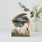 Great Blue Heron Birds of America Audubon Print Feestdagenkaart (Staand voorkant)