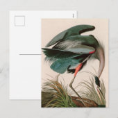 Great Blue Heron Birds of America Audubon Print Feestdagenkaart (Voorkant / Achterkant)