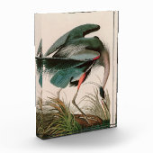 Great Blue Heron Birds of America Audubon Print Fotoblokken (Links)