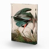 Great Blue Heron Birds of America Audubon Print Fotoblokken (Rechts)