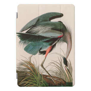 Great Blue Heron Birds of America Audubon Print iPad Pro Cover