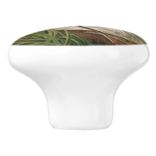 Great Blue Heron Birds of America Audubon Print Keramische Knop (Zijkant)