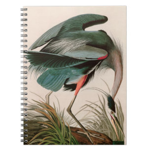 Great Blue Heron Birds of America Audubon Print Notitieboek