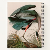 Great Blue Heron Birds of America Audubon Print Notitieboek (Achterkant)