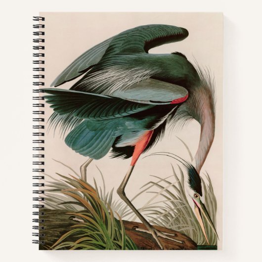 Great Blue Heron Birds of America Audubon Print Notitieboek (Voorkant)