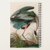 Great Blue Heron Birds of America Audubon Print Planner (Achterkant)