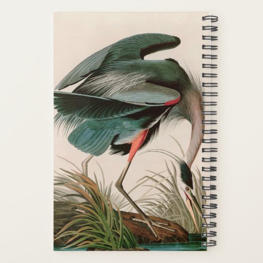 Great Blue Heron Birds of America Audubon Print Planner (Achterkant)