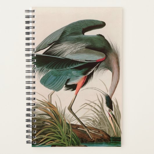Great Blue Heron Birds of America Audubon Print Planner (Voorkant)