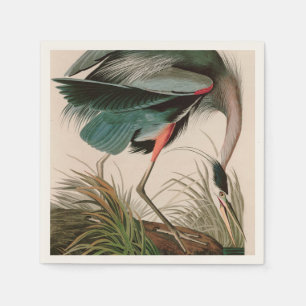 Great Blue Heron Birds of America Audubon Print Servet