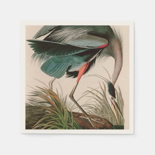 Great Blue Heron Birds of America Audubon Print Servet (Voorkant)