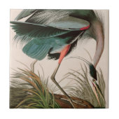 Great Blue Heron Birds of America Audubon Print Tegeltje (Voorkant)