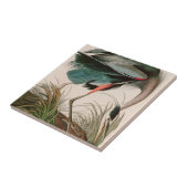 Great Blue Heron Birds of America Audubon Print Tegeltje (Zijkant)